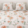 Printed Multi Design Bedsheet With Pillow Covers CHP07 | Dream Care