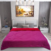 Load image into Gallery viewer, AC Comforter Blanket, Microfiber Reversible (Rani Pink, Maroon)