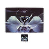 Dining Table Placemats with Coasters, Set of 6, PM15 - Dream Care Furnishings Private Limited