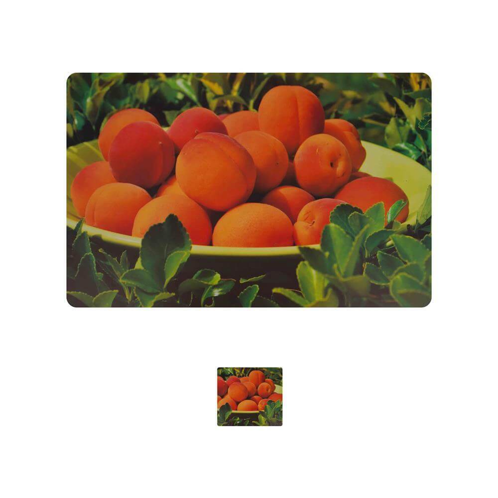 Dining Table Placemats with Coasters, Set of 6, PM23 - Dream Care Furnishings Private Limited