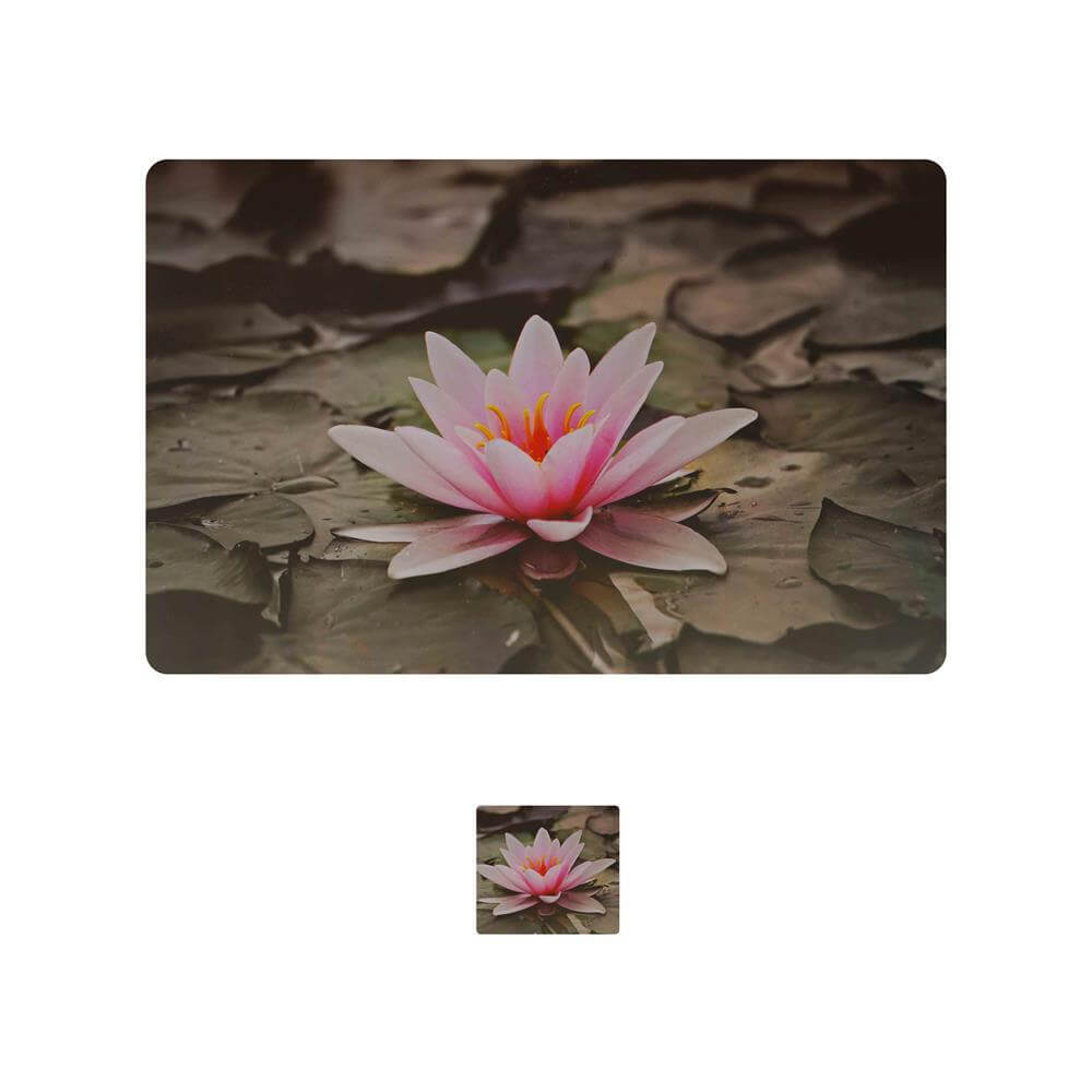 Dining Table Placemats with Coasters, Set of 6, PM25 - Dream Care Furnishings Private Limited